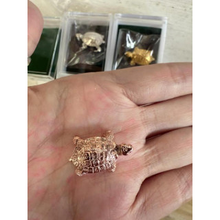 泰北反彈師父-長壽守財龜