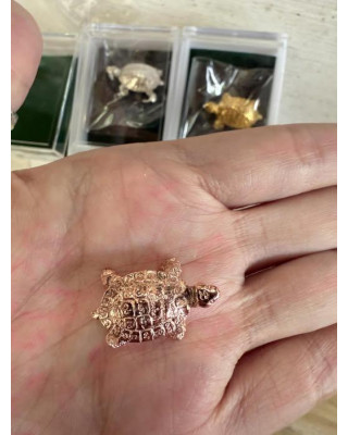 泰北反彈師父-長壽守財龜